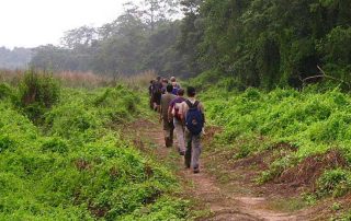 jungle-walk-in-chitwan-national-park