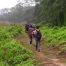 jungle-walk-in-chitwan-national-park