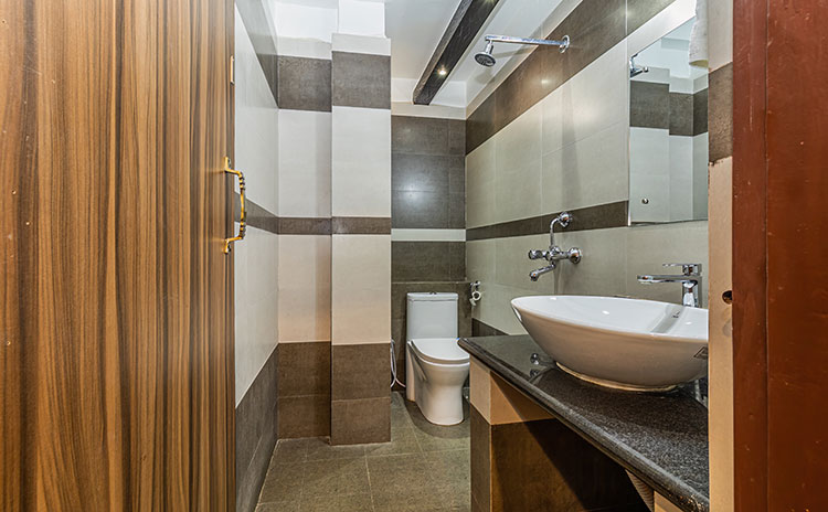 royal-tiger-luxury-resort-accommodations-super-deluxe-room-bathroom